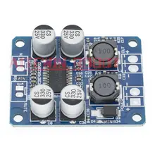 TPA3118 60W Mono Amp Board #3