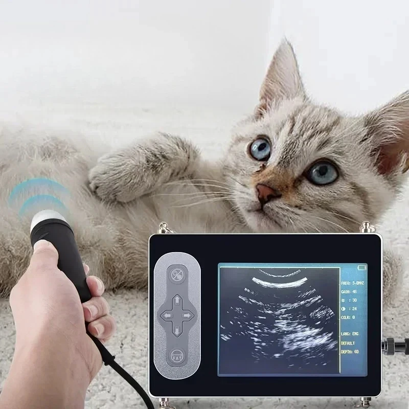 Portle Veterinary Scanner Dog tle Cow Pig Horsepregnanc Tting hine Color