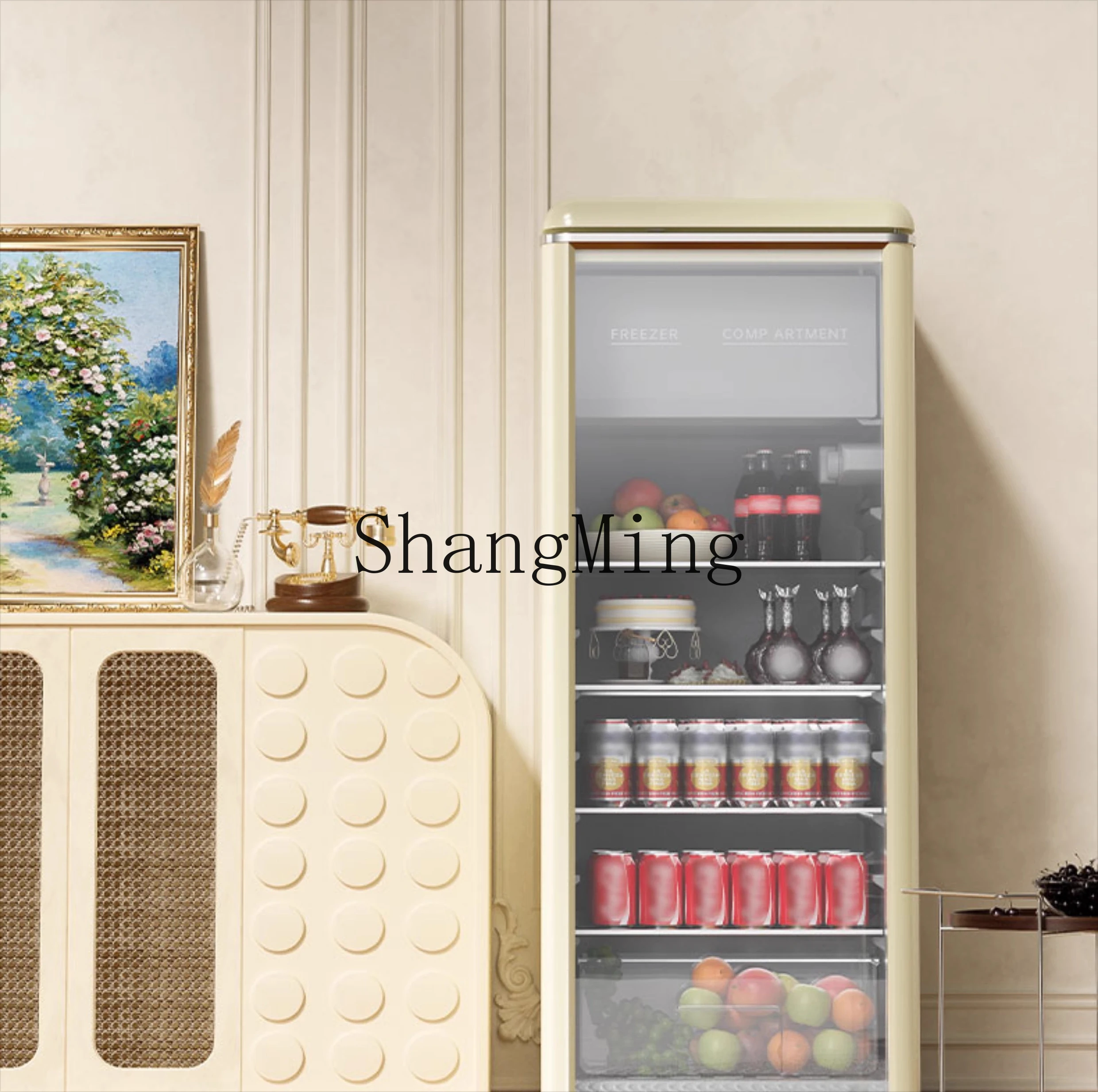 ZYY piccolo vetrina refrigerata per uso domestico con porta in vetro, frigorifero per ufficio, tè, armadietto per la conservazione della freschezza