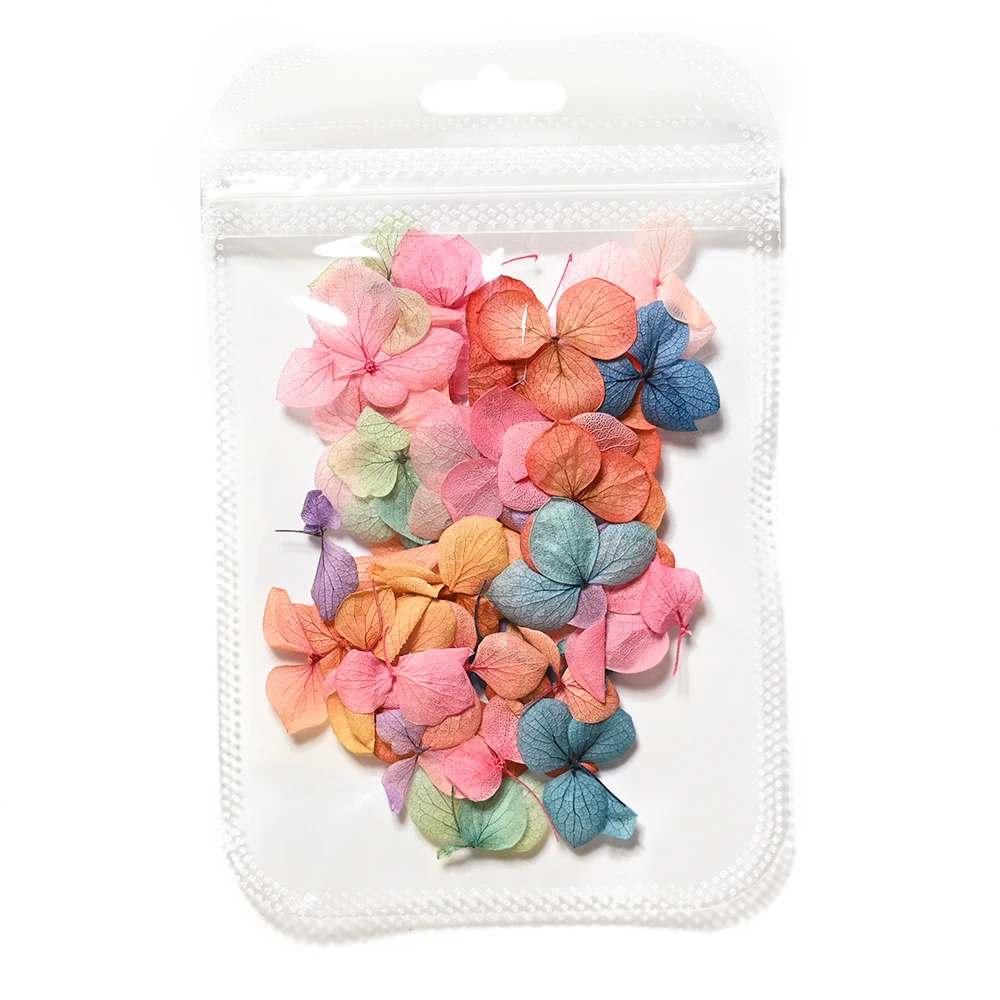 1Bag Colorful Dry Petal Nail Art Sticker Lovely Natural Nail Decoration Flowers  Dry Flowers for Manicure DIY Nail Decals 50PCS