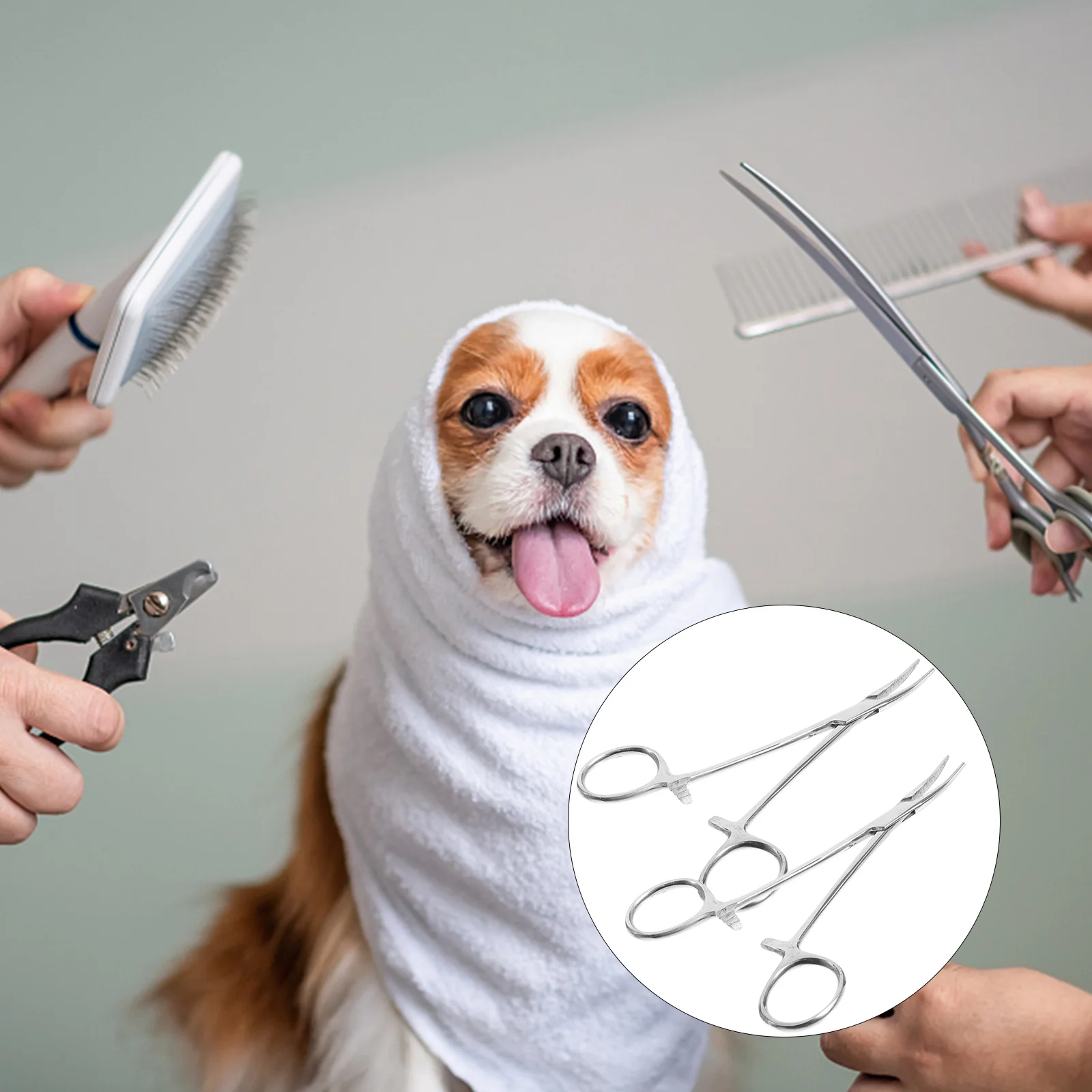 

2 шт. щипцы для эпиляции из нержавеющей стали, кровоостанавливающие банки, локоть для домашних животных, рыбалка, серебро