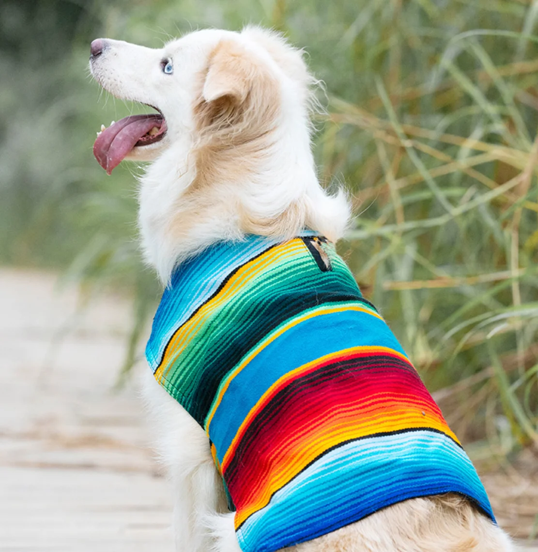 Handmade Dog Poncho from Mexican, Blanket, Southwestern, Tie Dye Dog Vest, Clothes