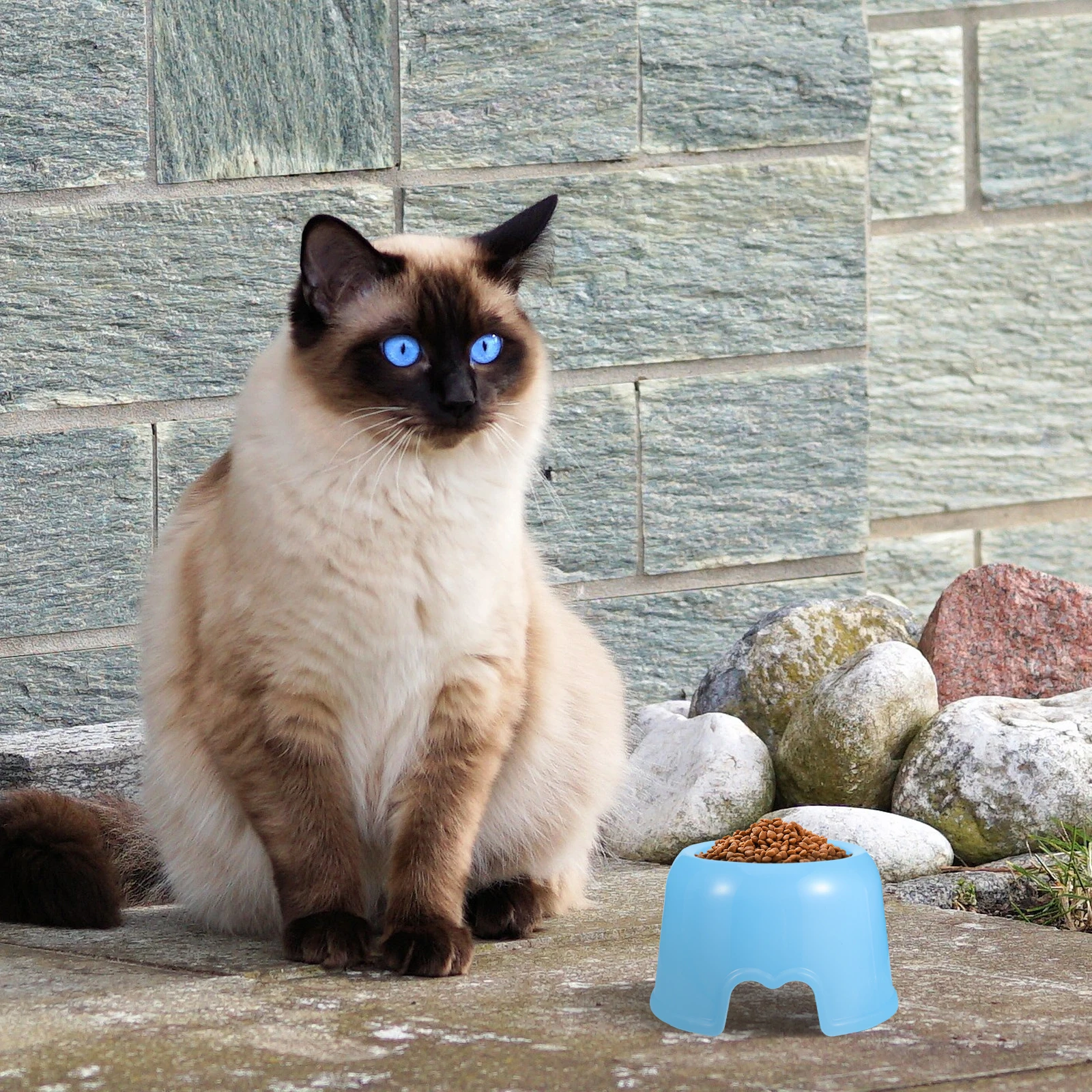 

Plastic Dog Bowl Pet Feeder Sky Blue Small Puppies Cats Rabbit Bowls Healthy Eating Prevent Spills Easy Clean Large Capacity