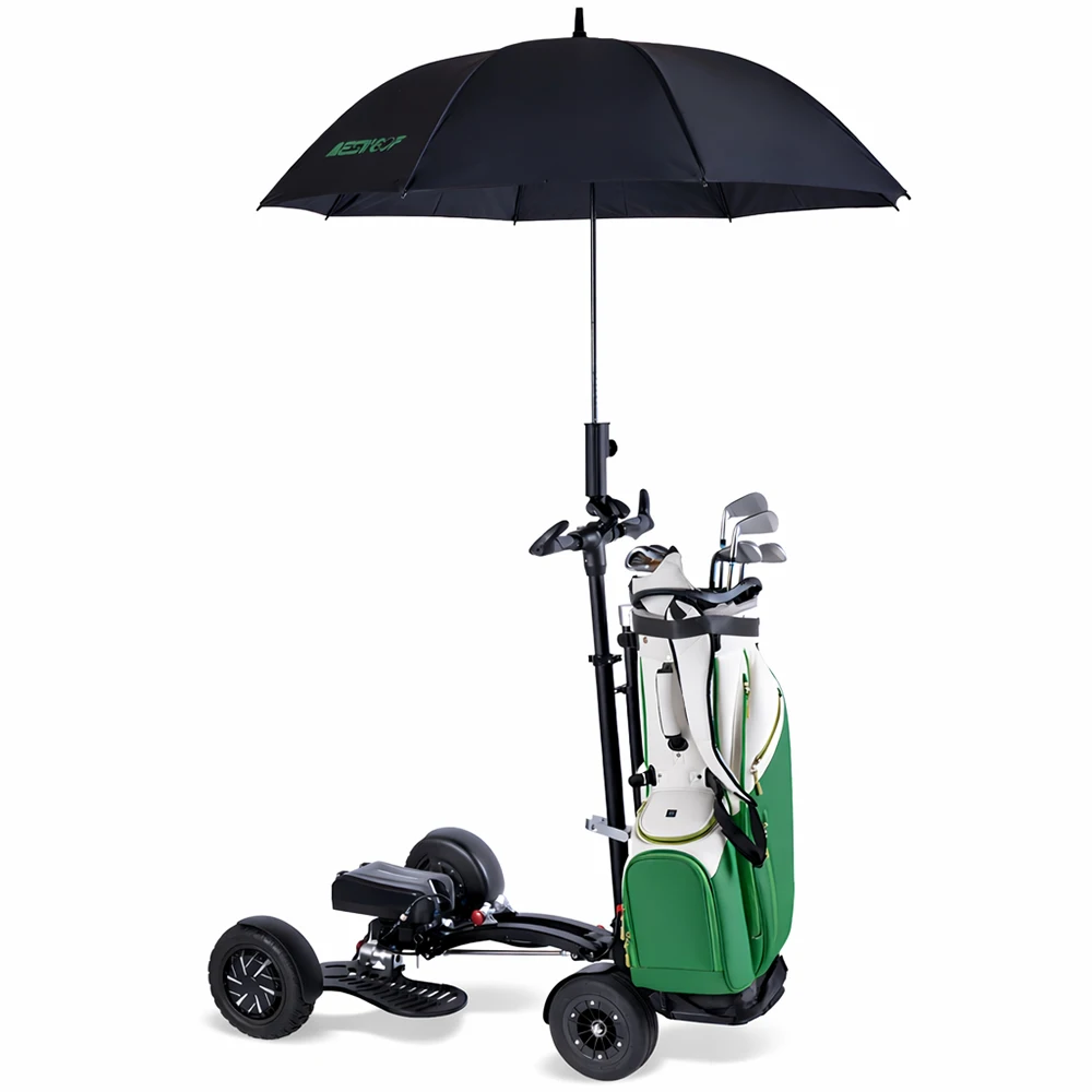 Eswing ES-1388 Motorized Scooter With Bag Holder 3 In 1 Ride Push Pull Design For Course Transport