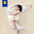 pillow01