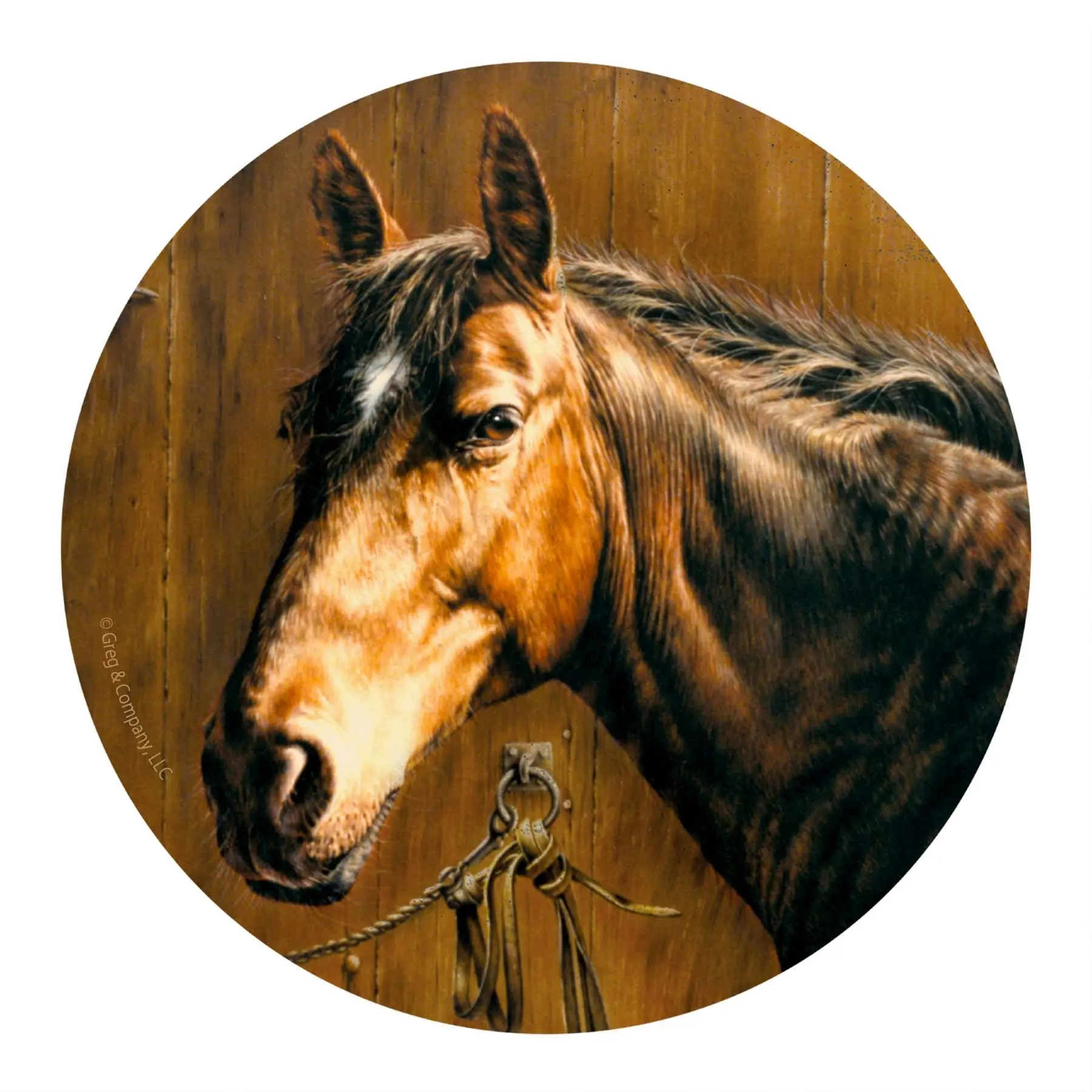 Cool Horse Ceramic Coaster with Cork Base Set Housewarming Gifts for Women Adults Coffee Table Desk Car Cup Holders Home Decor