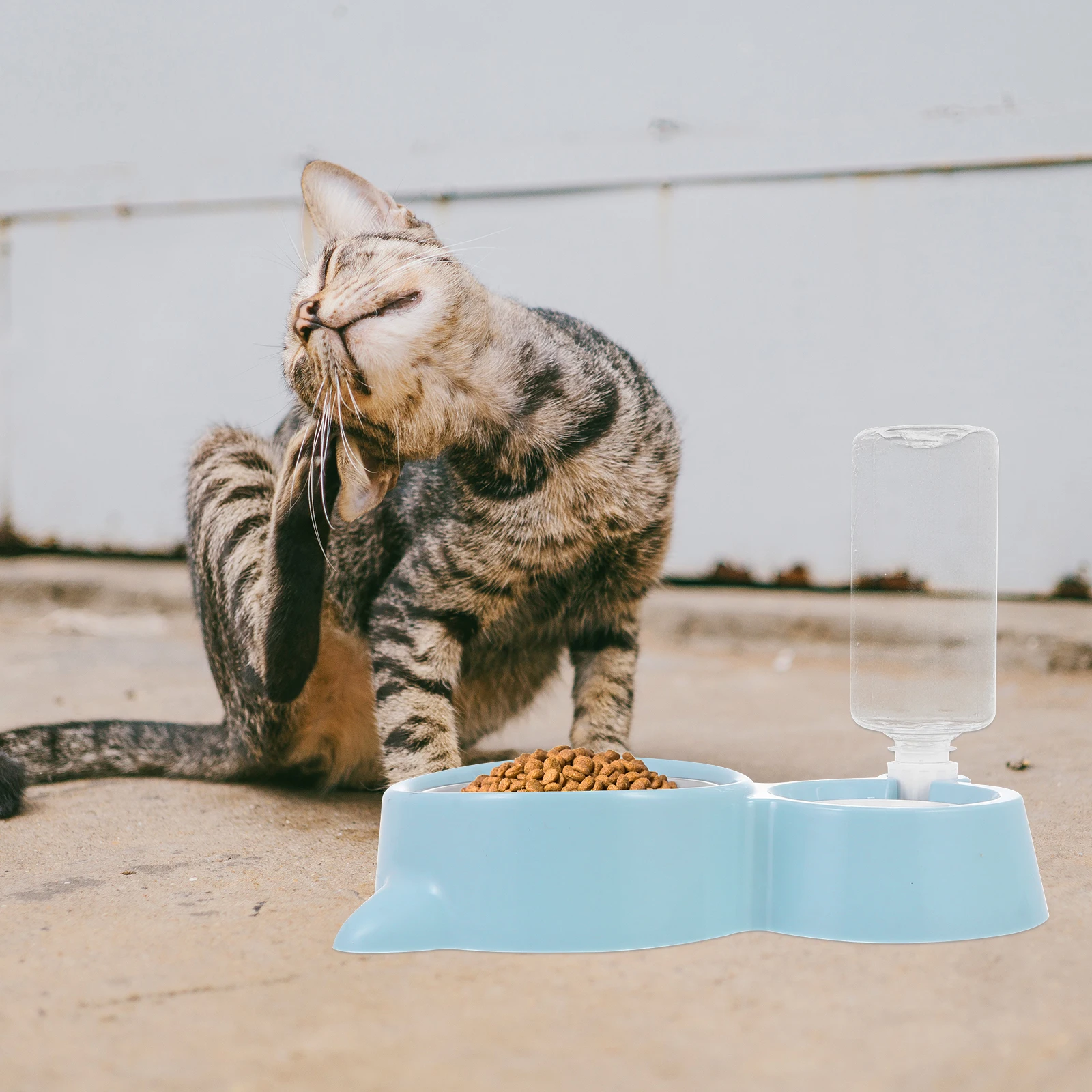 

Durable Pet Feeding Bowl Dog Cat Food Feeder Plastic Water Dispenser Container Drinking Bowls for Pets Stainless Steel HIPS