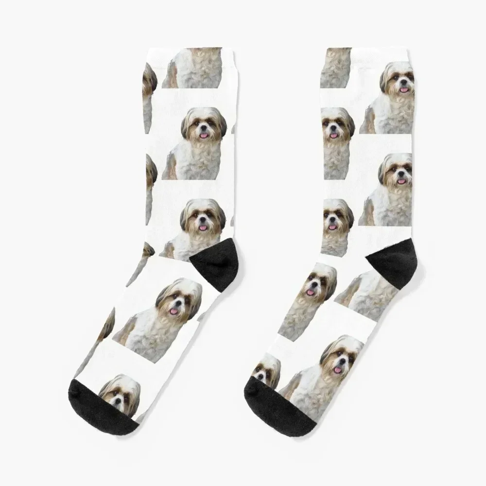 Dog Face : Shih Tzu Socks loose christmas gift funny gift Run Socks Ladies Men's