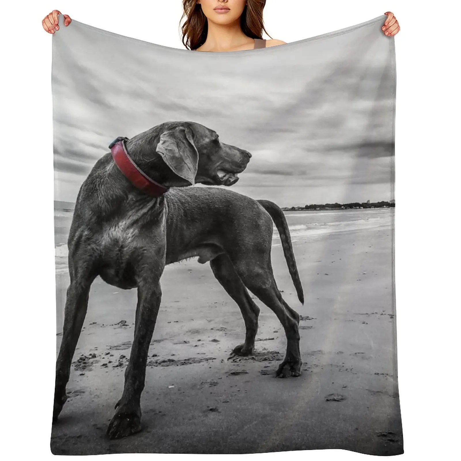 

Weimaraner Throw Blanket Bed Fashionable Warm Blankets For Bed Luxury Thicken Blankets
