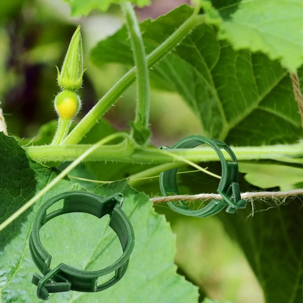 100PCS Plant Support Clips for Tomato Trellis, Cages and Vine Fastening, Promotes Upright Growth and Healthier Plants