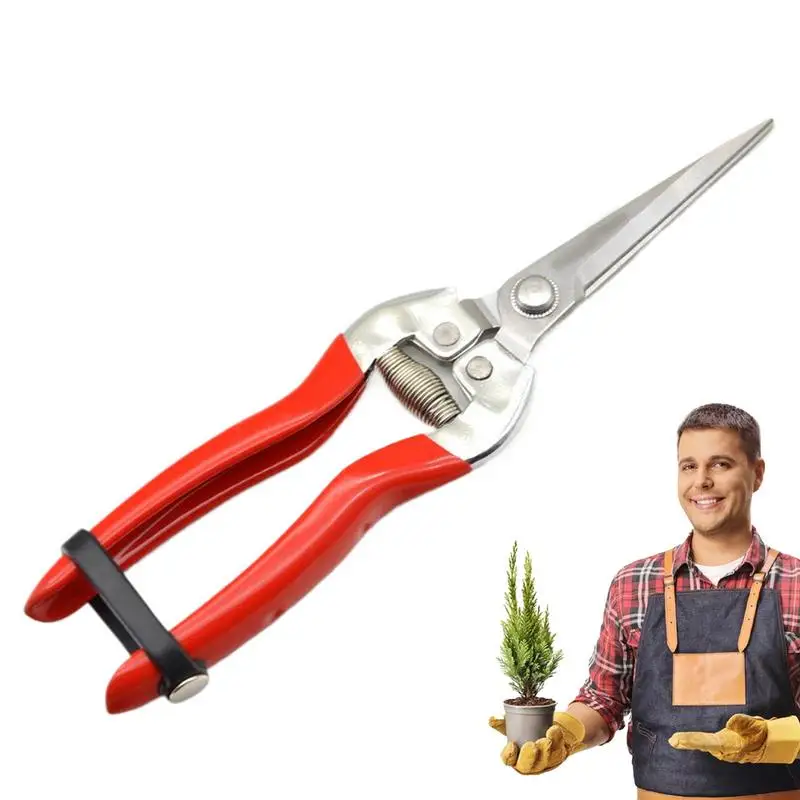 

Pruning Shears Stainless Steel Pruning Scissors Plant Clippers Plant Trimming Pruners For Fruit Trees Grapes Vines Oranges