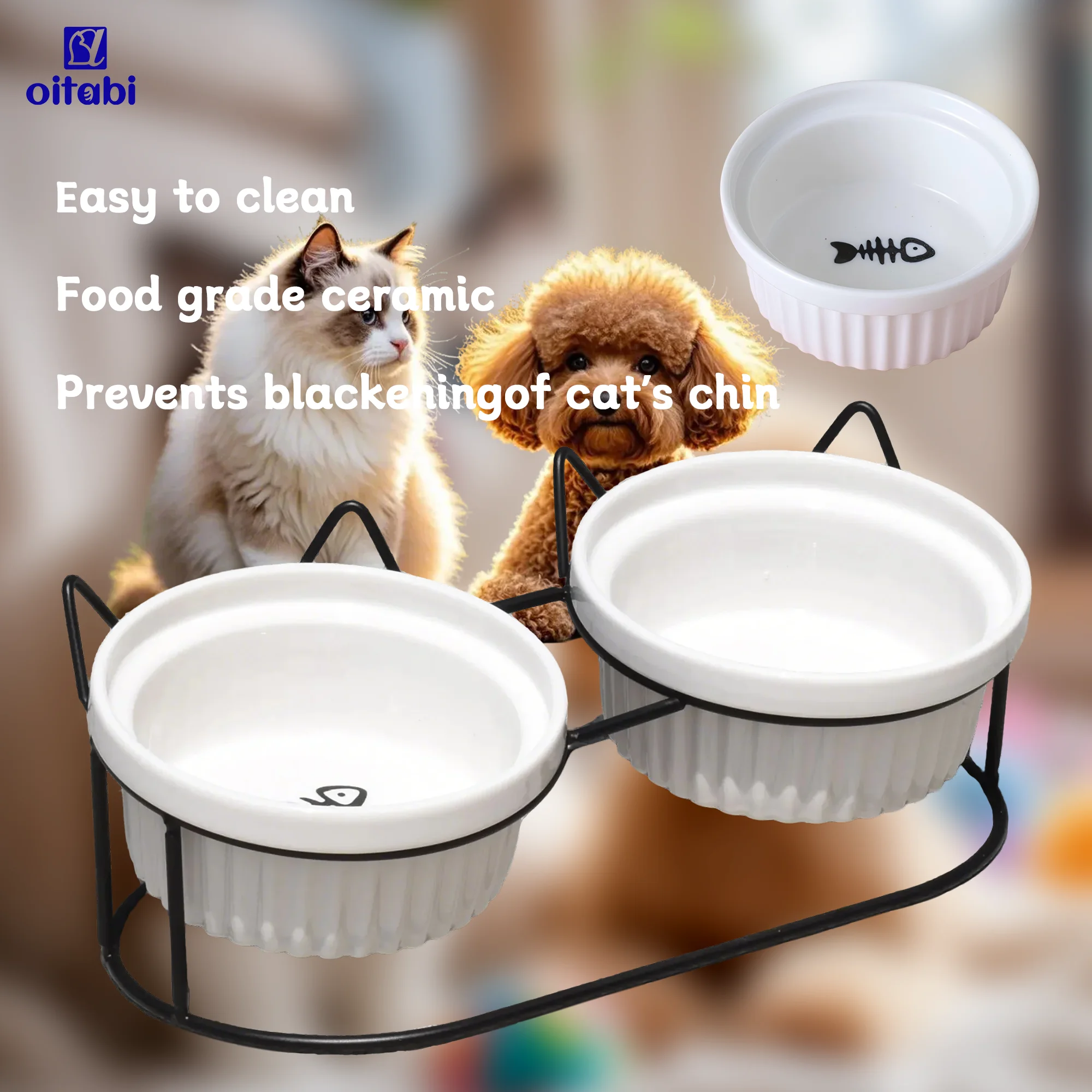 Ciotole per gatti rialzate Oitabi, 15 ° Piatti per gatti rialzati anti-vomito con supporto inclinato per cibo e acqua, 2 ciotole in ceramica per gatti e cuccioli