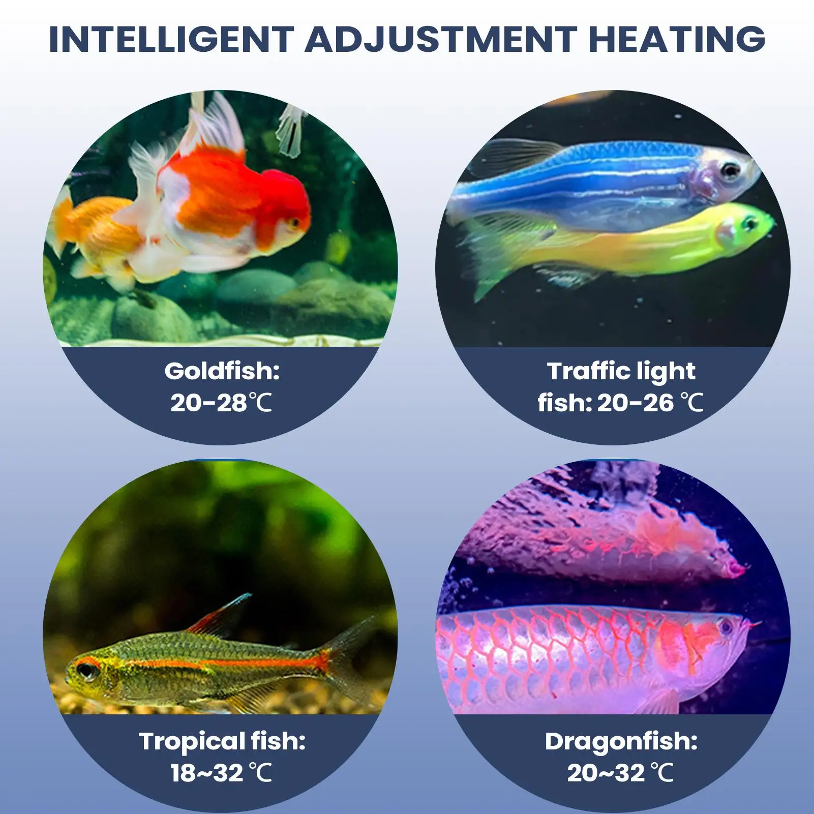 Aquarium Air Pump Portable Aquarium Fishing Aerator USB Rechargeable Aerator For Outdoor Indoor Pond Hydroponics Turtle Minnow view 3
