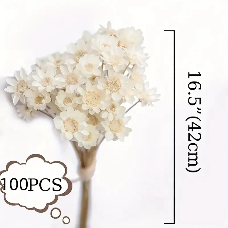 100pcs 100% Natural Dry Flowers, Brazilian Small Star Daisy Decorative, Dried Flowers Mini Daisy, Chamomile Bouquet For Wedding