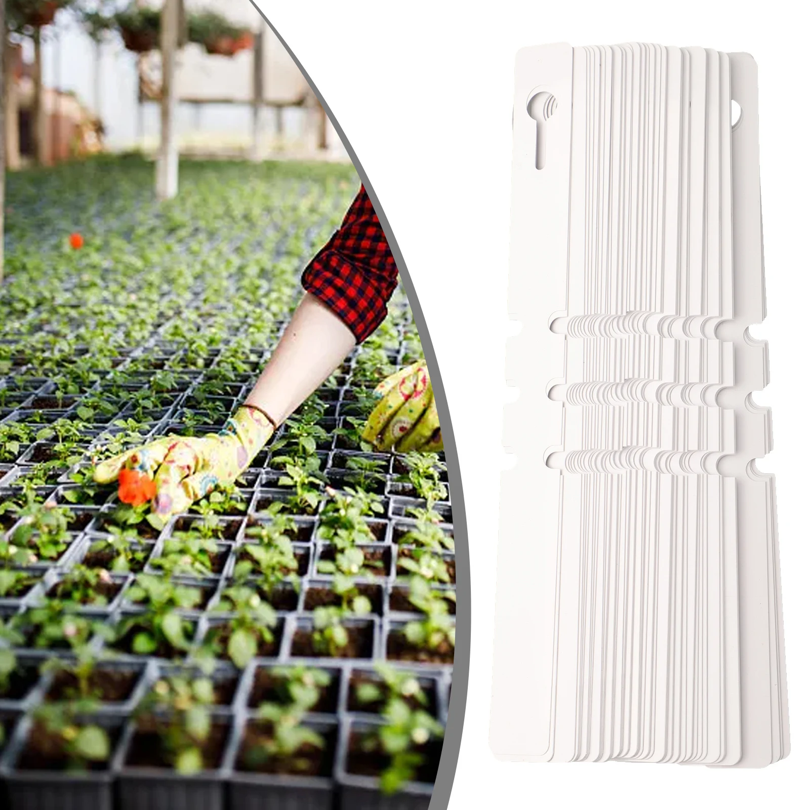 

100pcs PVC Waterproof Plant Markers Hanging Tags Label Tools For Gardening Gardening Labels Plant Labels Plant Markers Tools