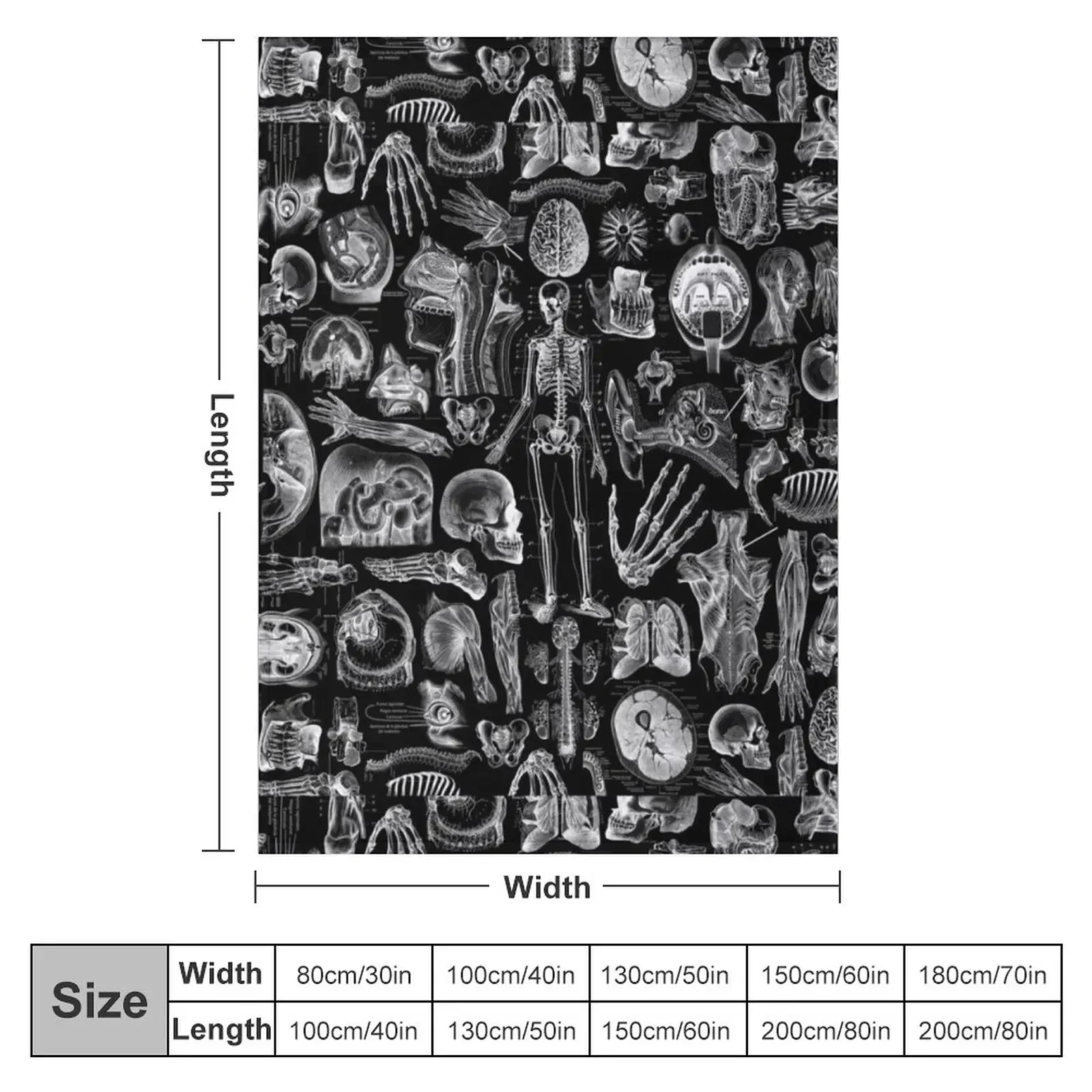 Human Anatomy Black Print Throw Blanket couch cozy soft plush fuzzy picnic outdoor blanket