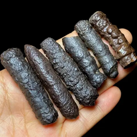 천연 이집트 블랙 다이아몬드 예언석 표본 레이키 원석