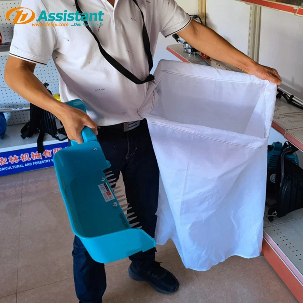 DL-4CD-35 DELI battery operated electric tea harvest machine with lithium battery cutting width 350mm tea plucking machine image 4