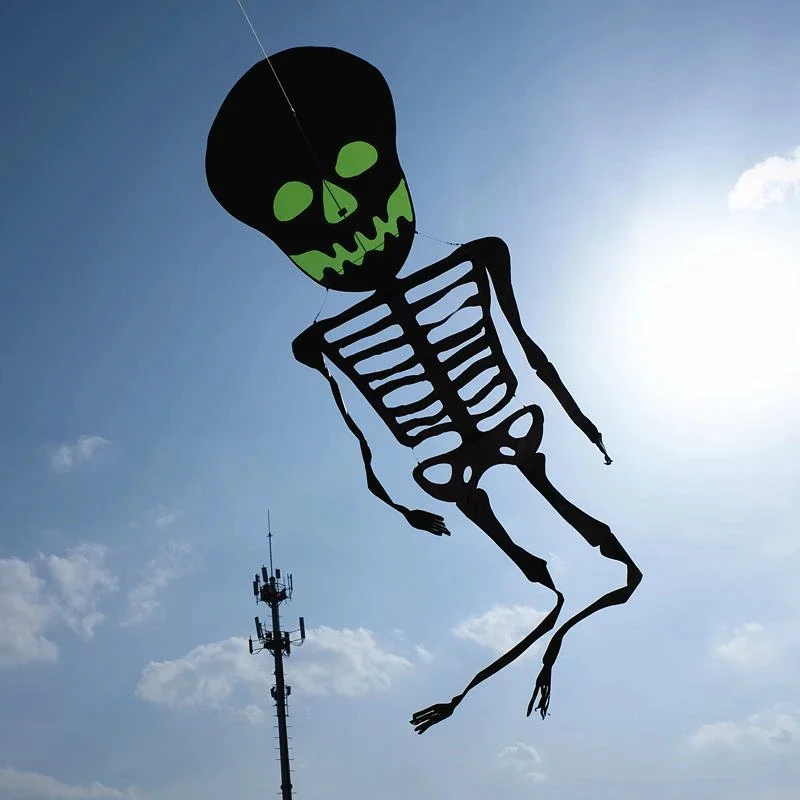 Free Shipping Skull kites flying 3d kites for adults inflatable games kite kitesurf equipment garden games for children flying