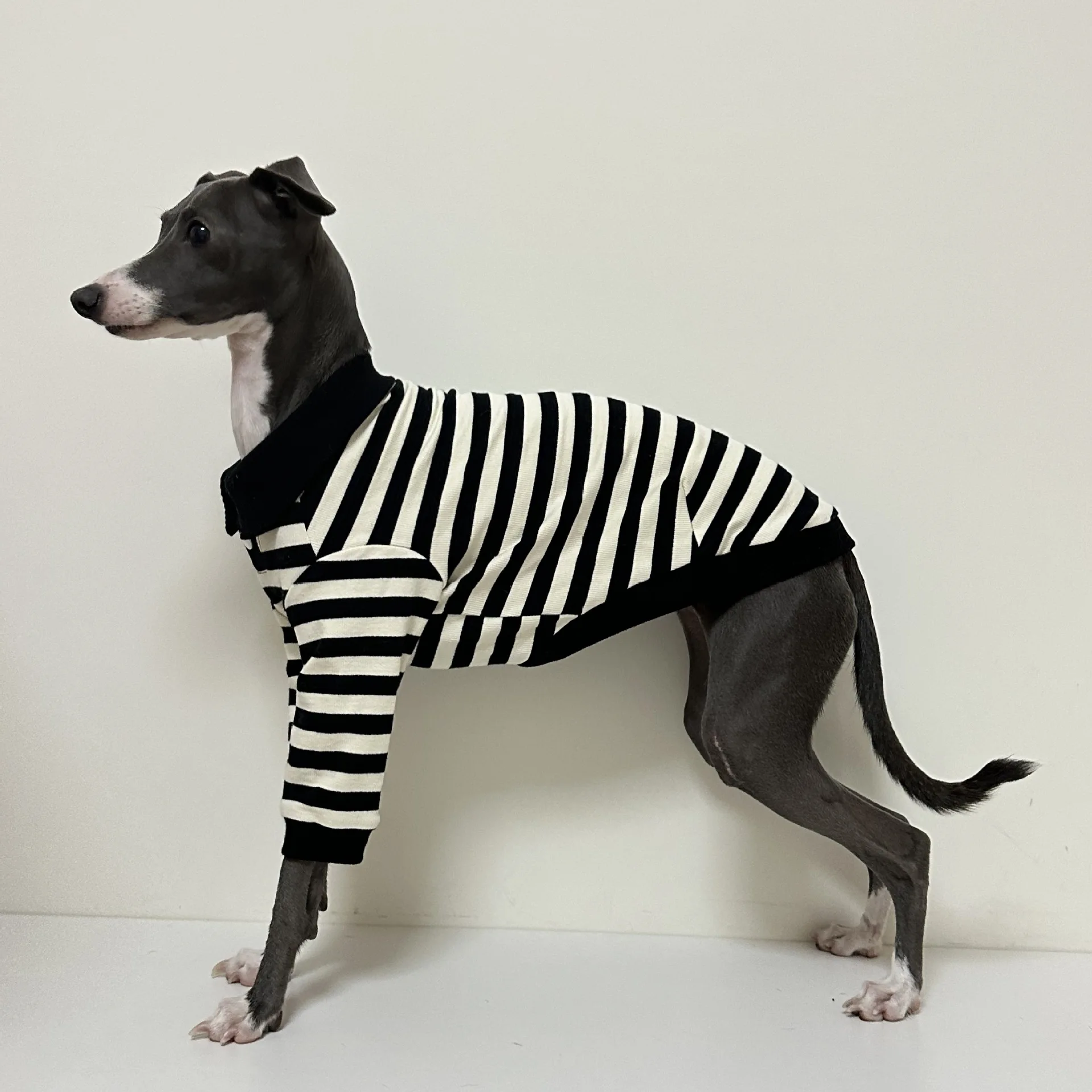 Pet cotton striped polo shirt comfortable stretch dog t-shirt suitable for Italian Greyhound Whippet puppy clothes