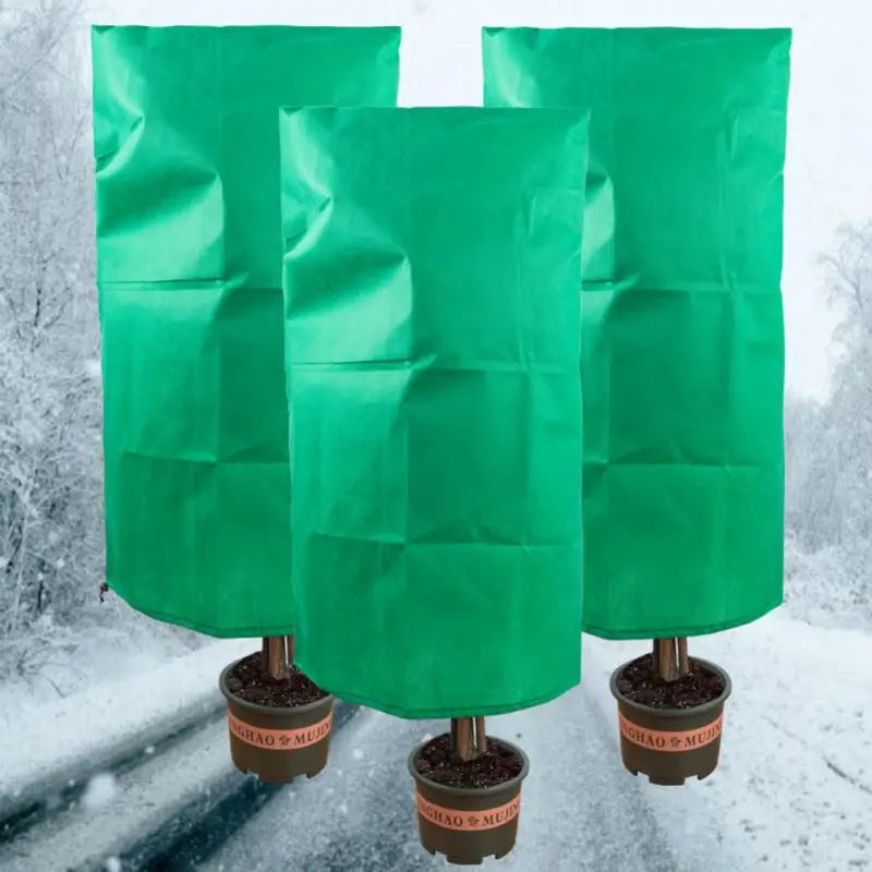 כיסוי הצמח בחורף כיסוי עץ שיחים עץ שיחים מגן על כפור מגן על כפור עבור צמחים בחצר עץ קטן נגד קר