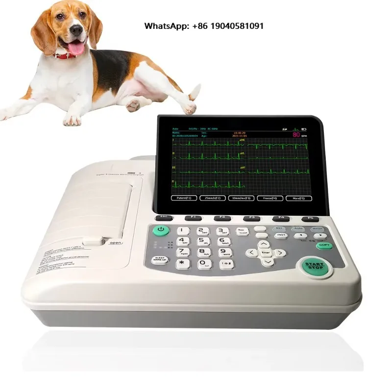 Portable Veterinary ECG Machine for Hospital Clinic Animal Digital 3/6 Channel ECG Machine Pet ECG