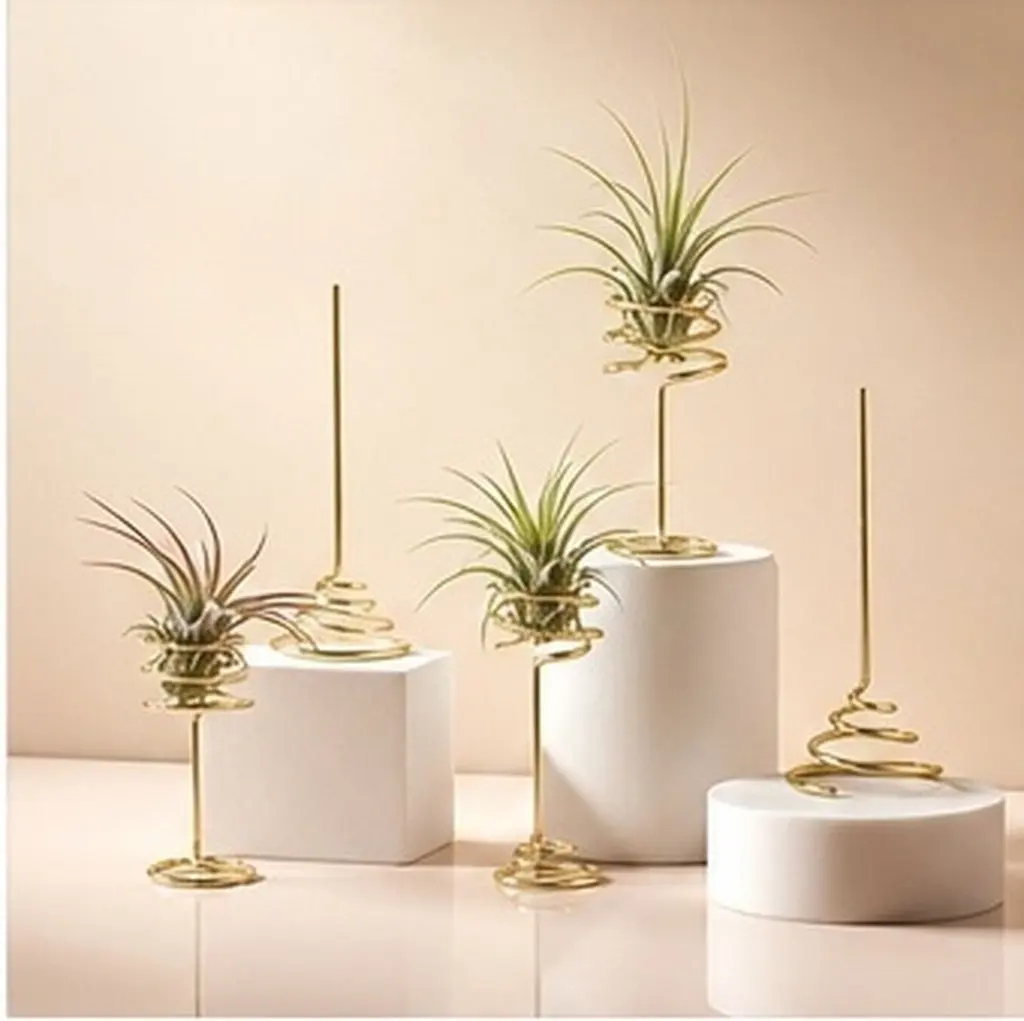 Air Plant Holder 6 Pack Geometric Electroplated Iron Flower Stand Spring Base Desktop Wall Display
