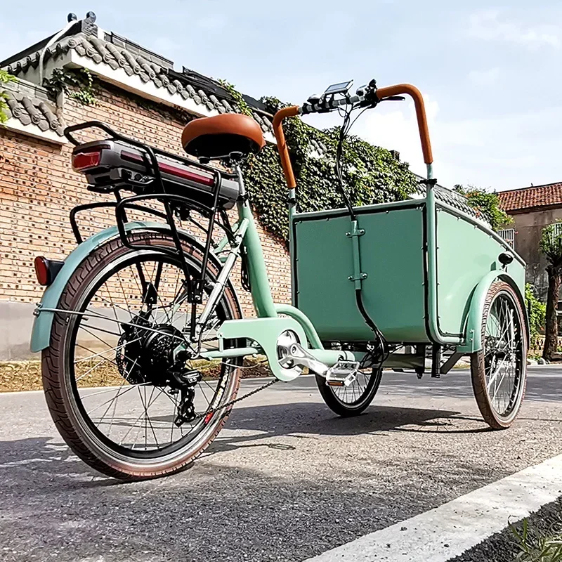 Triciclo eléctrico holandés para adultos, bicicleta de carga de Color verde, carro expendedor de calle a la venta, personalizable