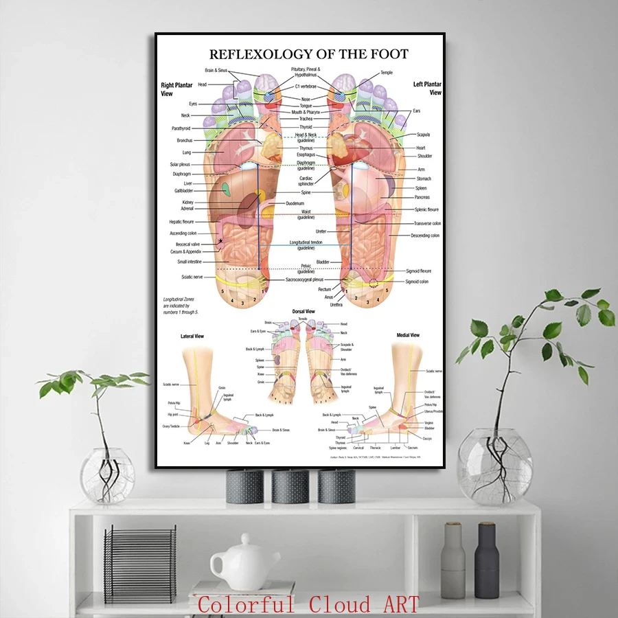 Reflexology of The Foot Acupuncture Point Chart  Anatomy Canvas Painting Art Print Poster for Living Room Clinic Home Wall Decor