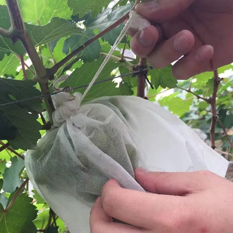 Sacs de Protection des fruits Non tissés, sacs de Protection respirants pour vergers, sacs horticoles, sacs de Protection contre les insectes et les oiseaux