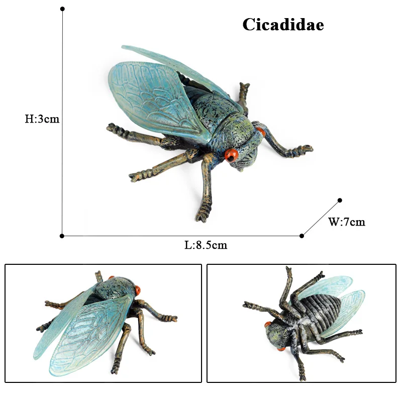 Oenux Simulation Libelle Heuschrecke Tausendfüßler Wildes Insekt Tiere Modell Actionfiguren Miniatur Bildung Sammlung Kinderspielzeug – Detail 7
