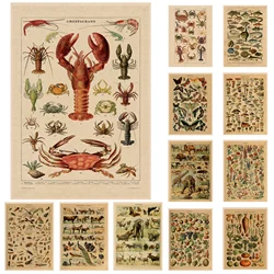 Pósteres Vintage con estampado de setas y frutas y verduras, imágenes botánicas de arte antiguo, póster de ciencia, pegatinas de pared sin marco de papel Kraft