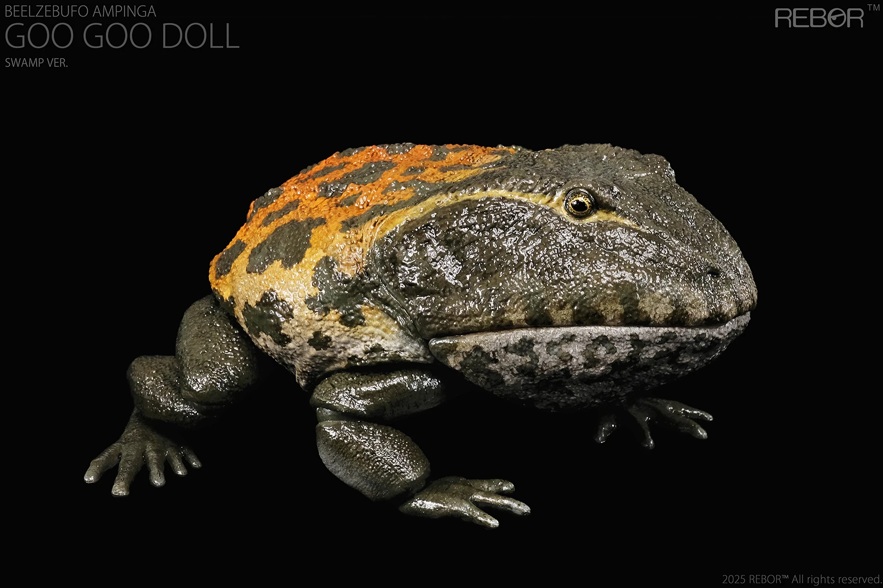 

Rebor 1:2 Scale Poseable Beelzebufo Ampinga/cornuta Toy Frog Model Figure