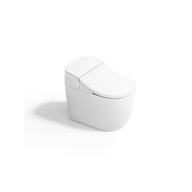 

Indoor toilet Smart toilet Adjustable water pressure Effective toilet Free space