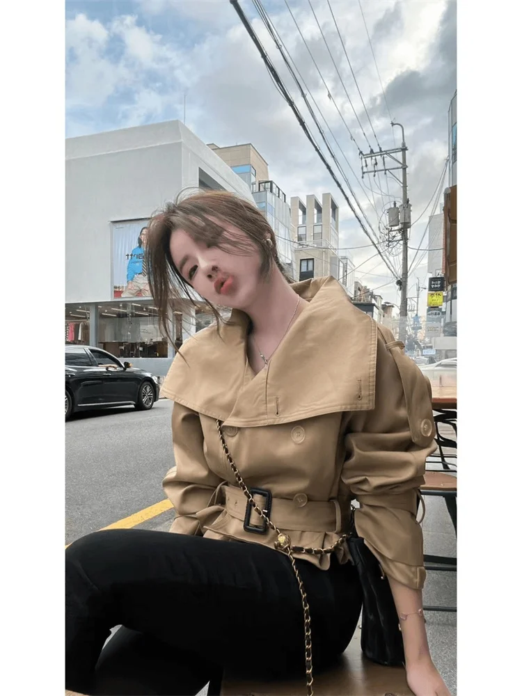 

Новое женское пальто в корейском стиле с длинными рукавами, поясом и двубортной застежкой, весеннее, в уличном стиле, модное в этом году, утепленное.