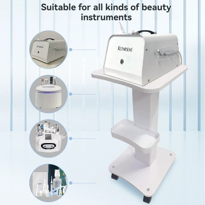 Beauty Salon Trolley Cart Beauty Instrument Storage Tray 2 Tiers SPA Beauty Equipment Maintenance Cart Rack for Barber Shops