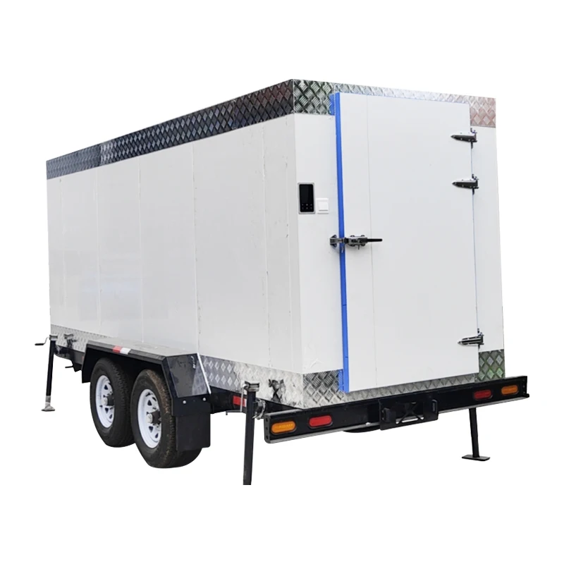 Commercial custom freezer with vegetable and fruit freezer and walk-in freezer for South East Asia