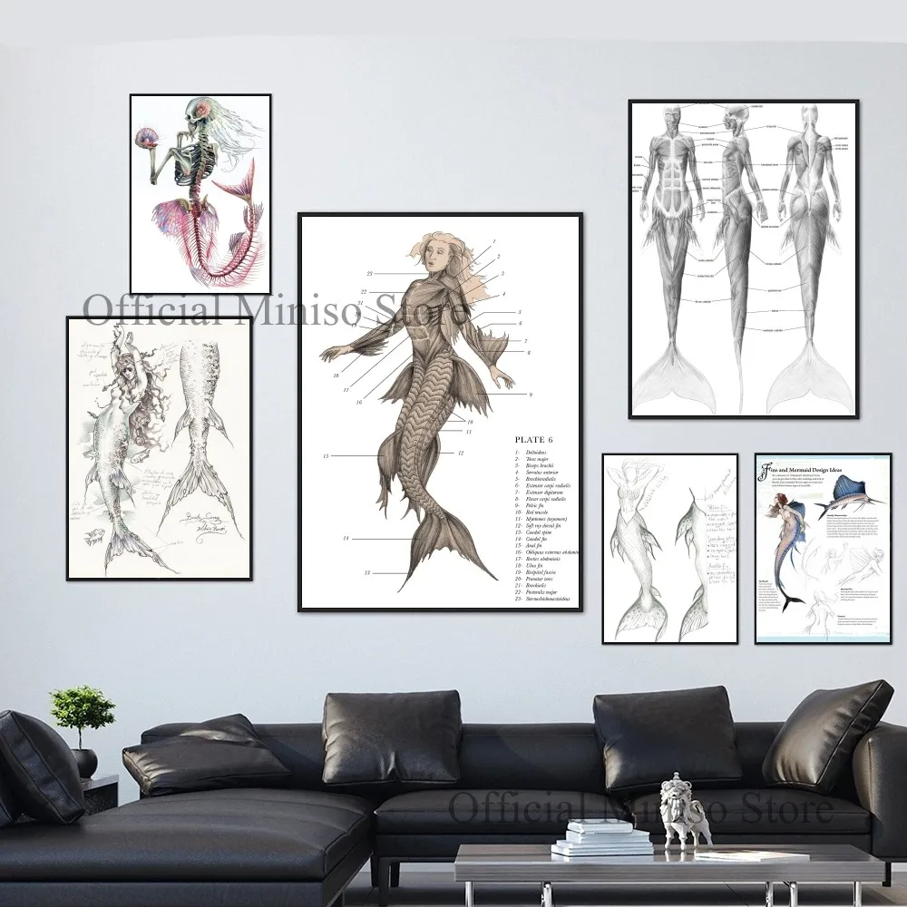 인어 해부학 포스터 자체 접착 아트 포스터, 방수 종이 스티커, 커피 하우스 바 룸 벽 장식, 1 개  Best5