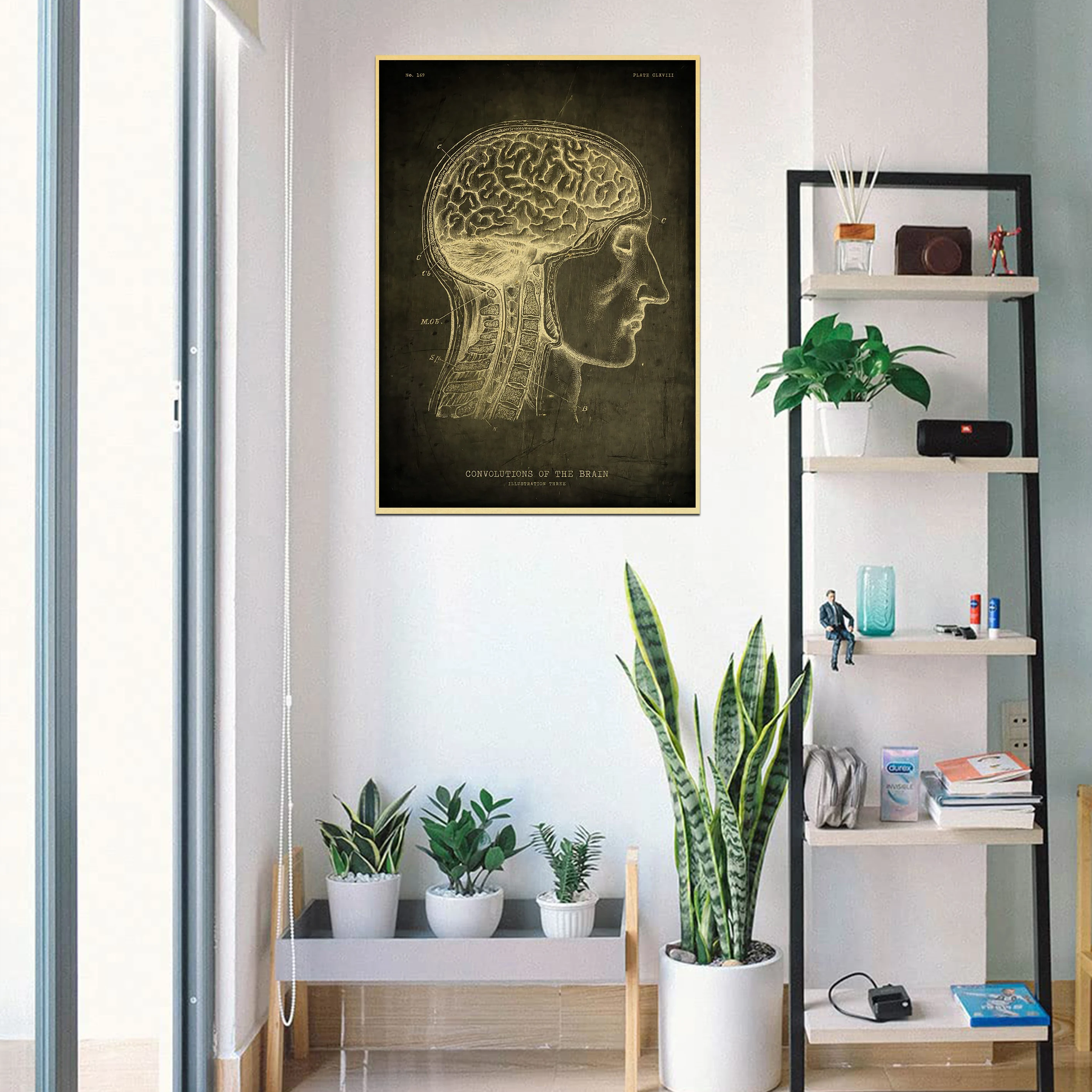 Anatomy Skeleton Education Poster Wall Chart Prints Posters Home Living Bed Room Decor Bar Cafe Pictures Frameless Wall Painting