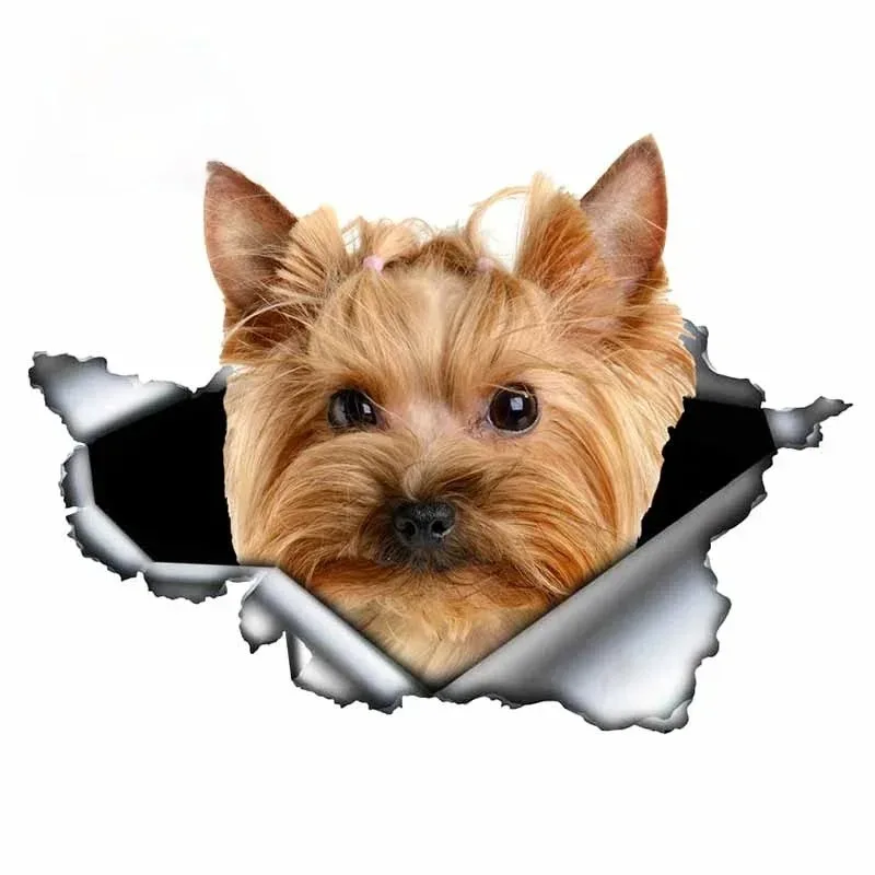 

New Yorkshire Terrier Vinyl Personality Sticker Torn Metal Decal Animal Window Bumper Pet Dog lovable 15cm PVC KK