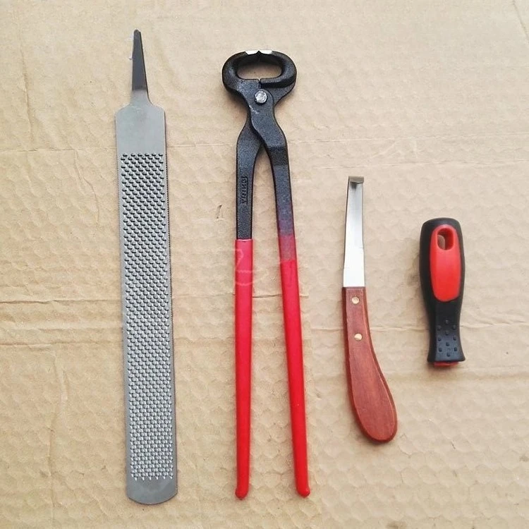 16 Inch 3 Pcs Horse Hoof Trimming Tool Set Equine Farrier File Trimming Horseshoe Care Kit