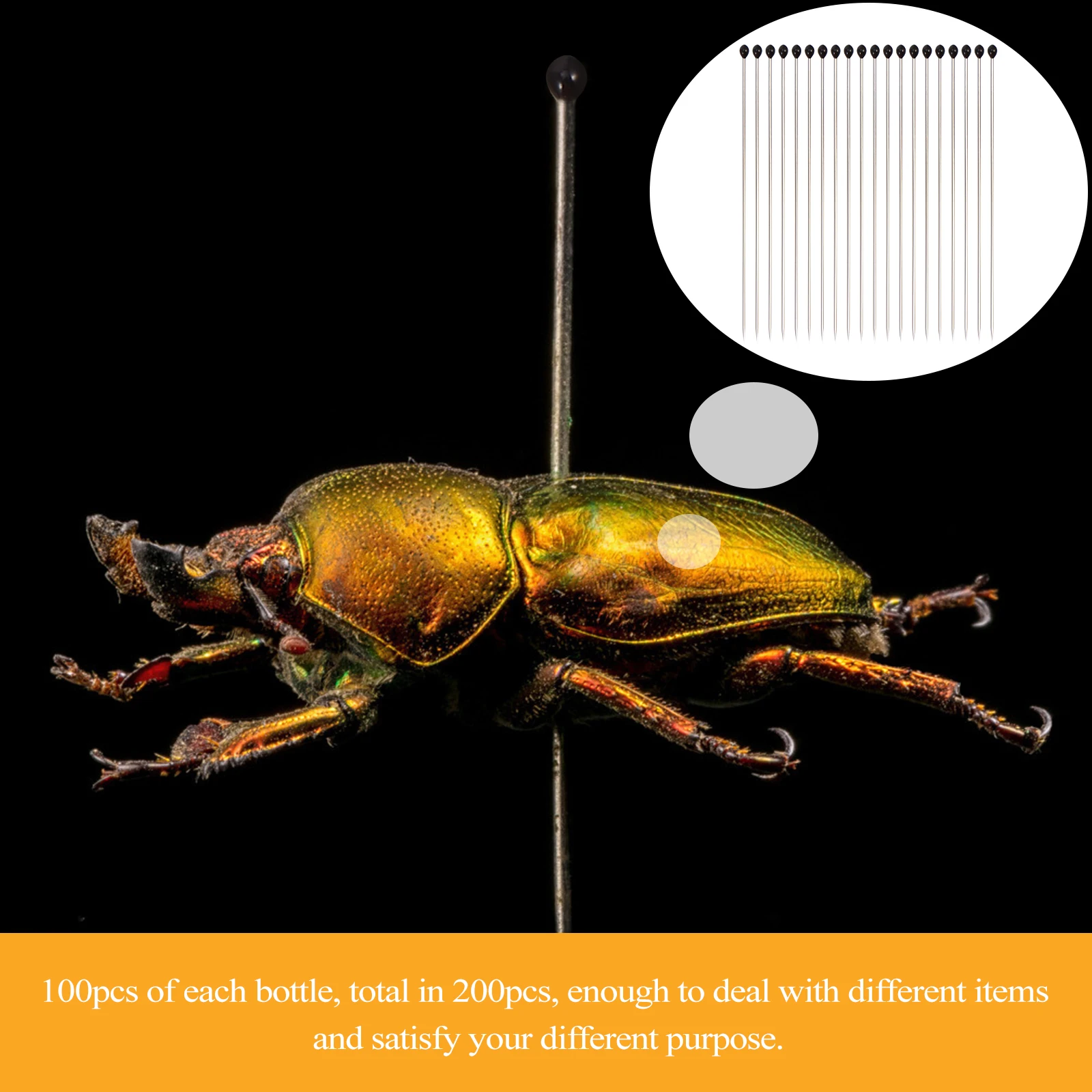 

200pcs Specimen Insect Needles Stainless Steel Entomology Tools Collecting Display Storage Vials Long Term Use