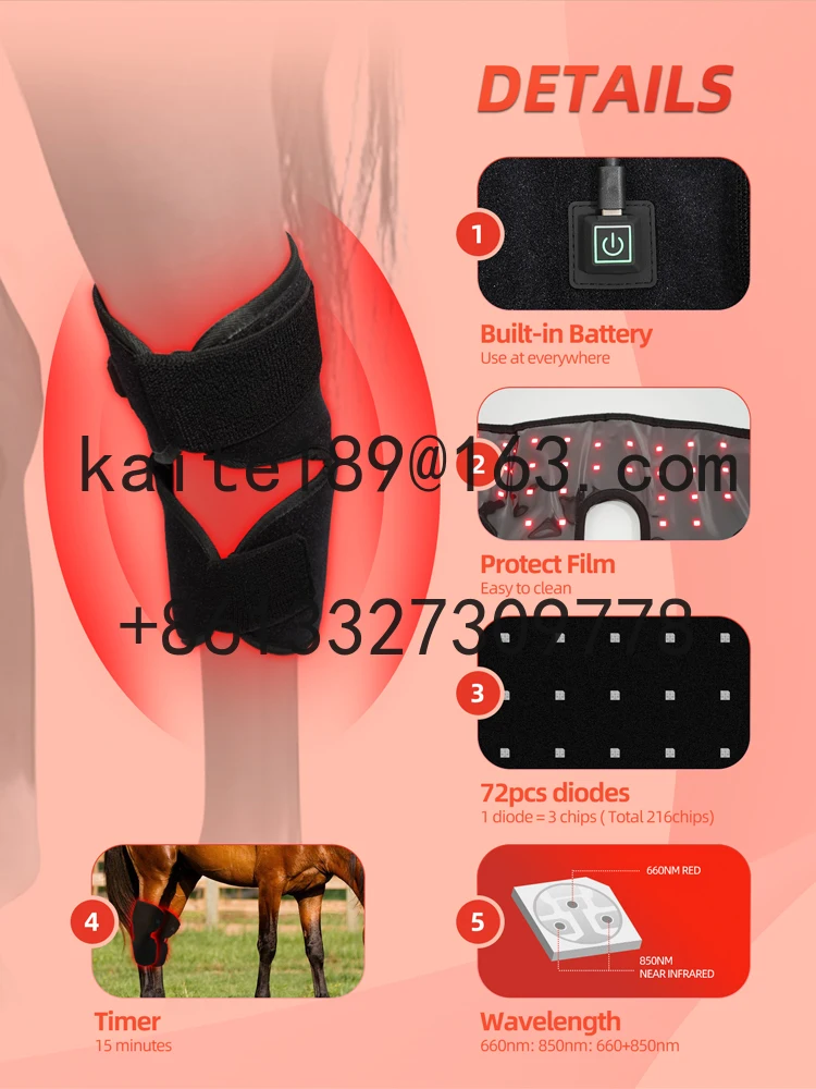 RedThera Equine Hock Knee Wrap Red Light Therapy Horse Knee Therapy Products
