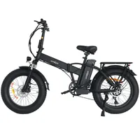 Windgoo F21 Pro Adult Electric Bicycle 250W Motor Foldable E Bicycle 48V 12.5Ah Battery 20-inch Tires City Commuter E Bike