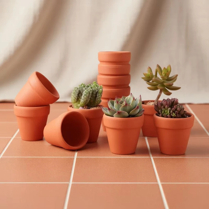Can a Terracotta plant pot Crack in the Winter?