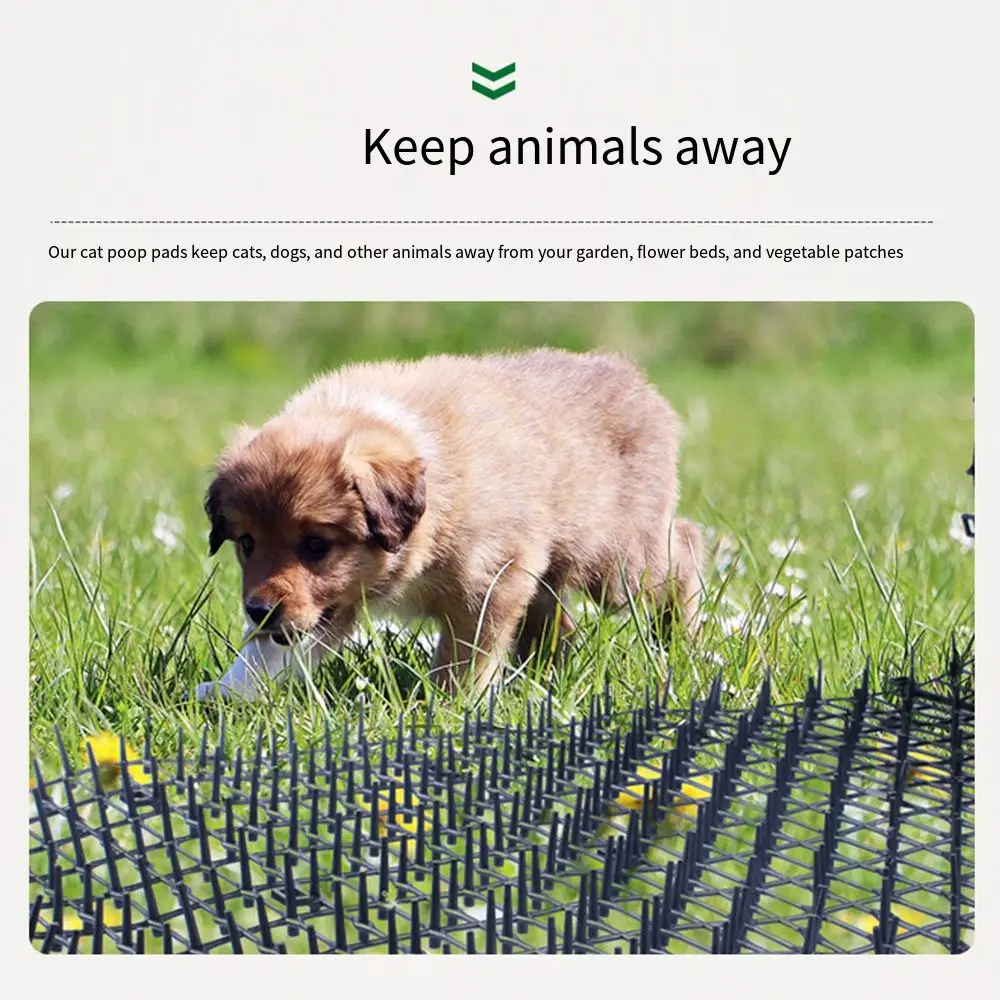 2m/4m Cat Scat Mat with Spikes Network Keep Pets Off Cat Repellment Mat Safe Prickle Strips Anti-Cats Digging Stopper Garden