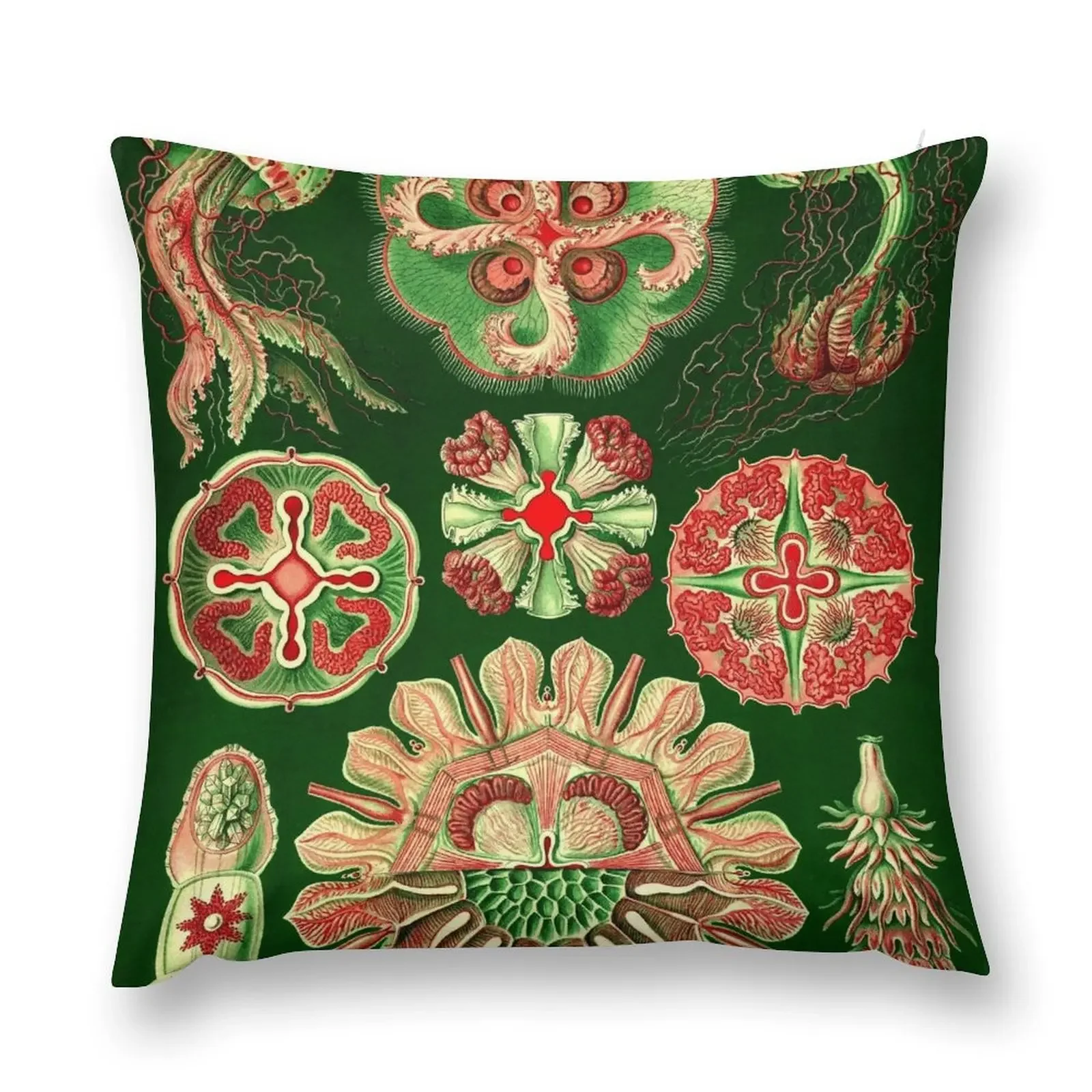 Plate 98. Discomedusae, a group of disc-shaped jellyfish. Throw Pillow Plaid Sofa Christmas Covers For Cushions pillow