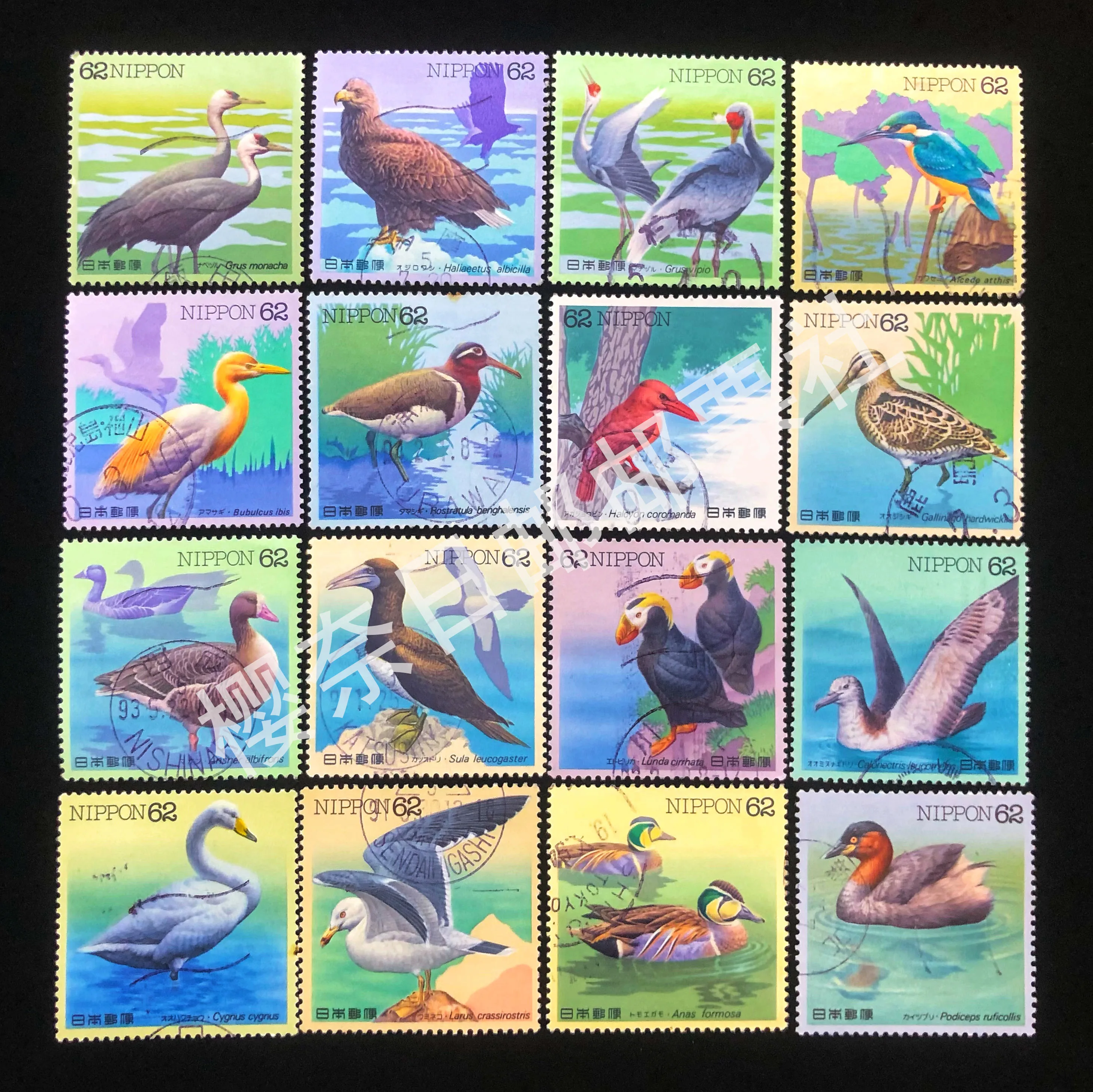 Birds Thematic Real…