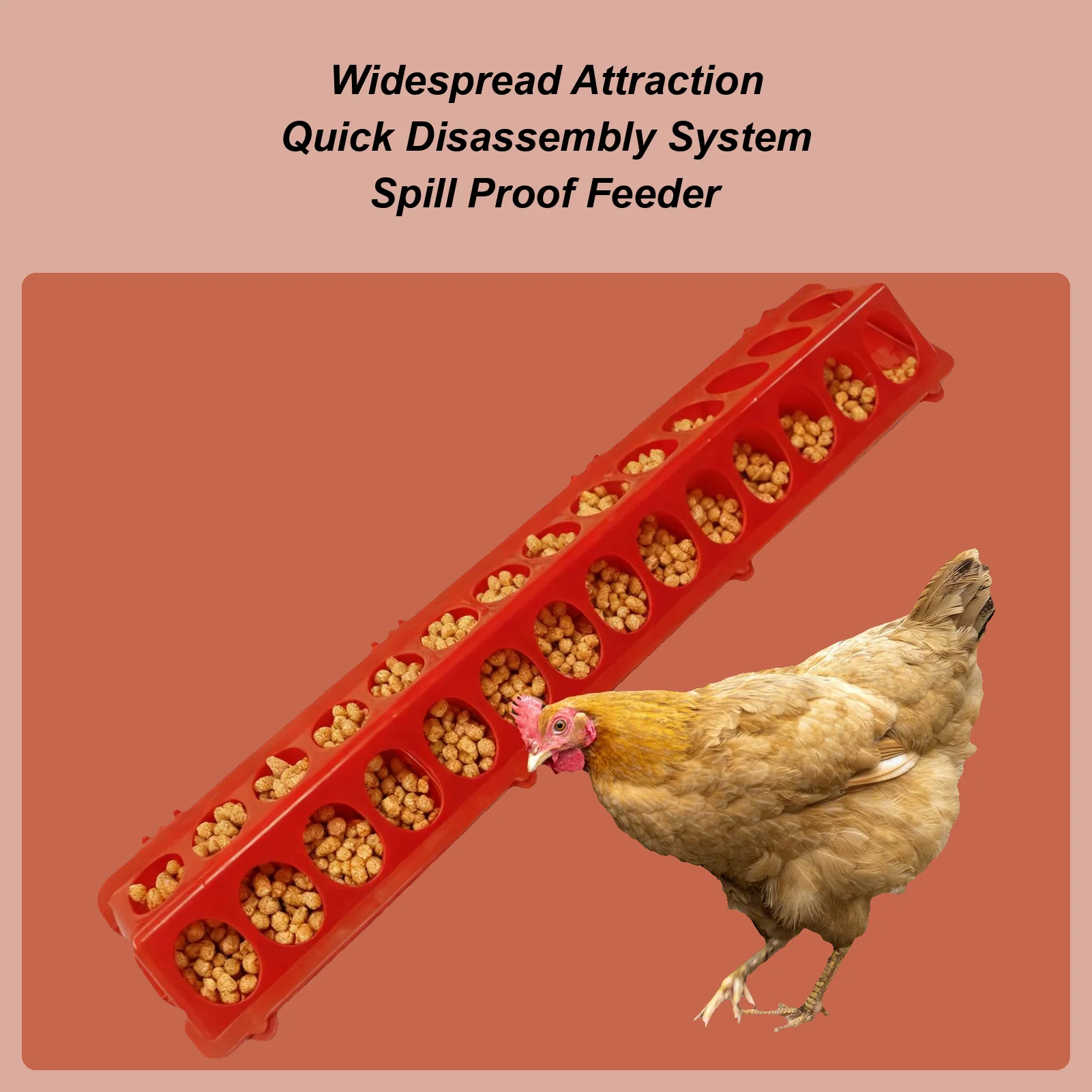 Baby Food With Chicken - Pigeon Feeder 28-hole Long Large Capacity