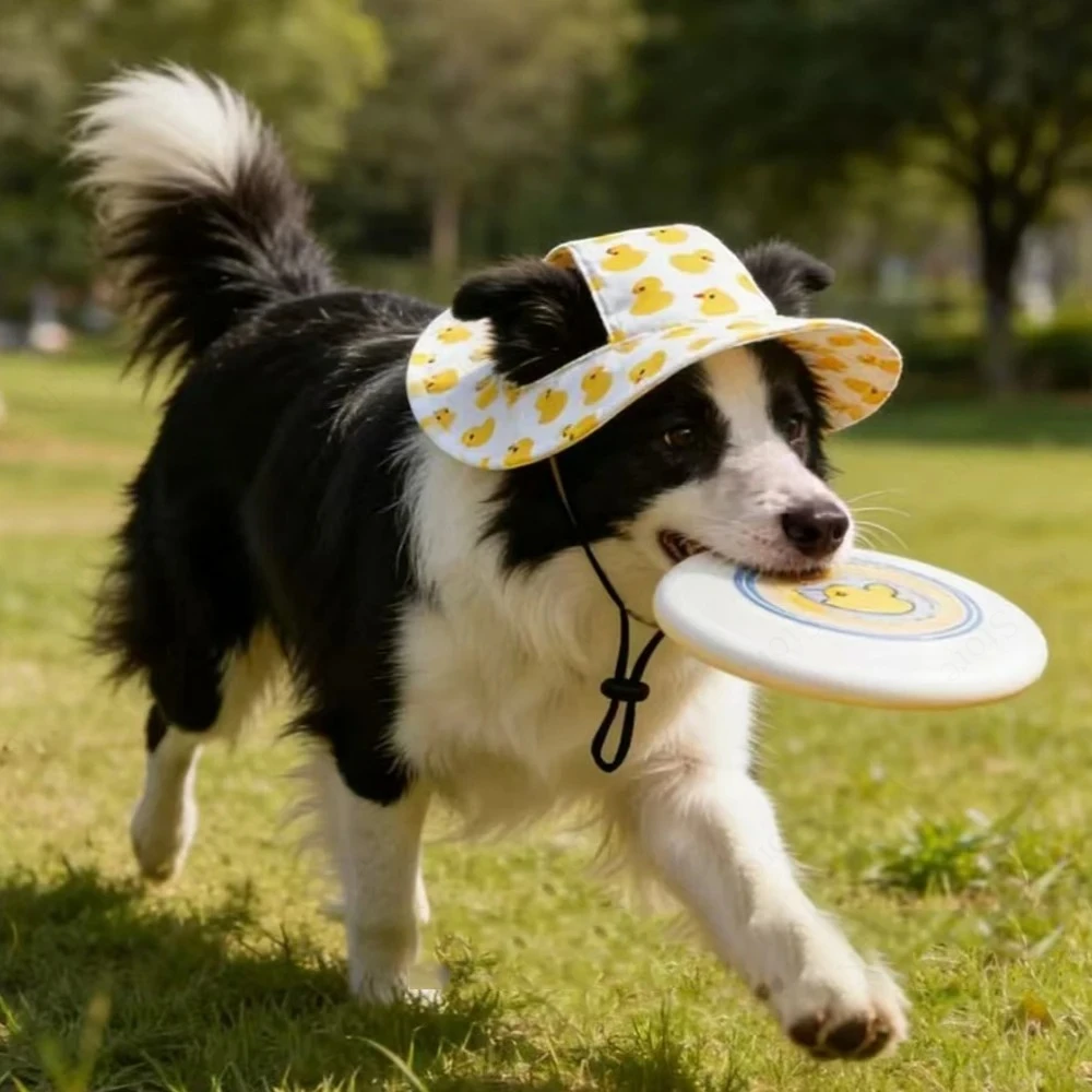 Cappello Stampato per Cani, Be - Running Cap Lightweight recensione e prezzo